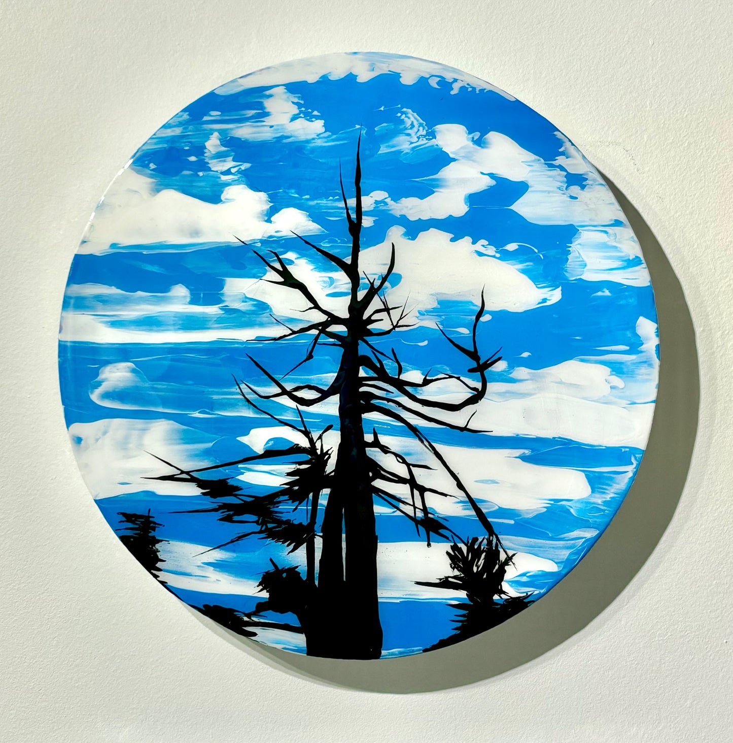 Cynamoka Snag, 2024
