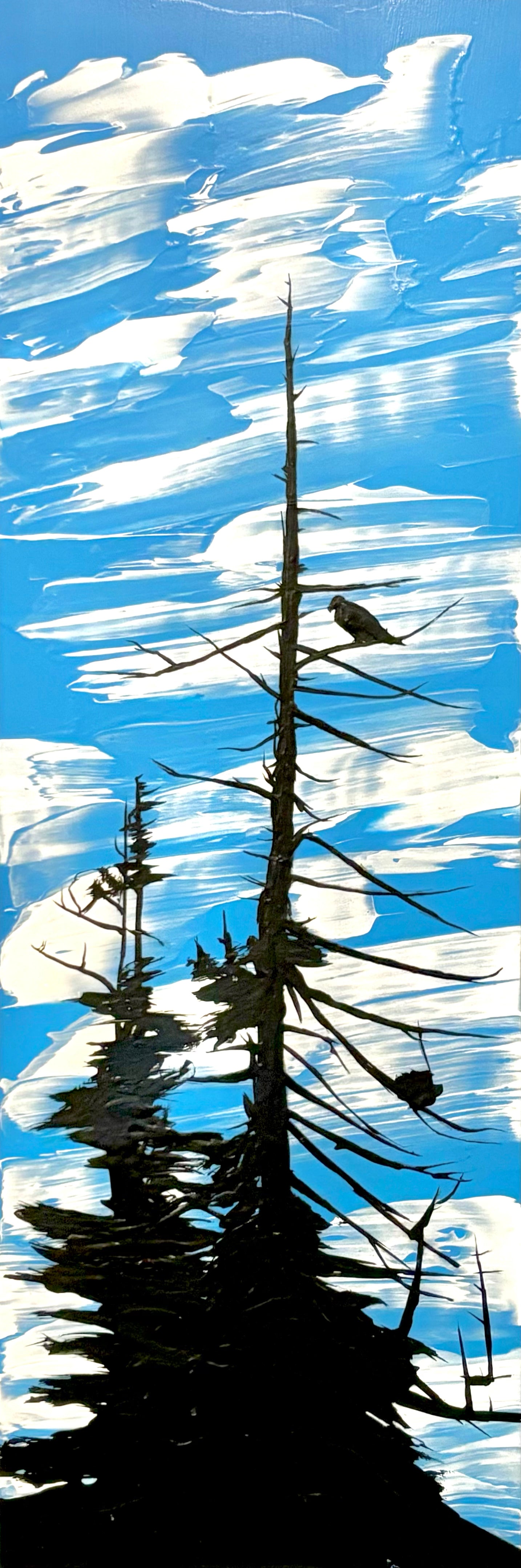 Hi-Tin-Kis, Ucluelet, 2024