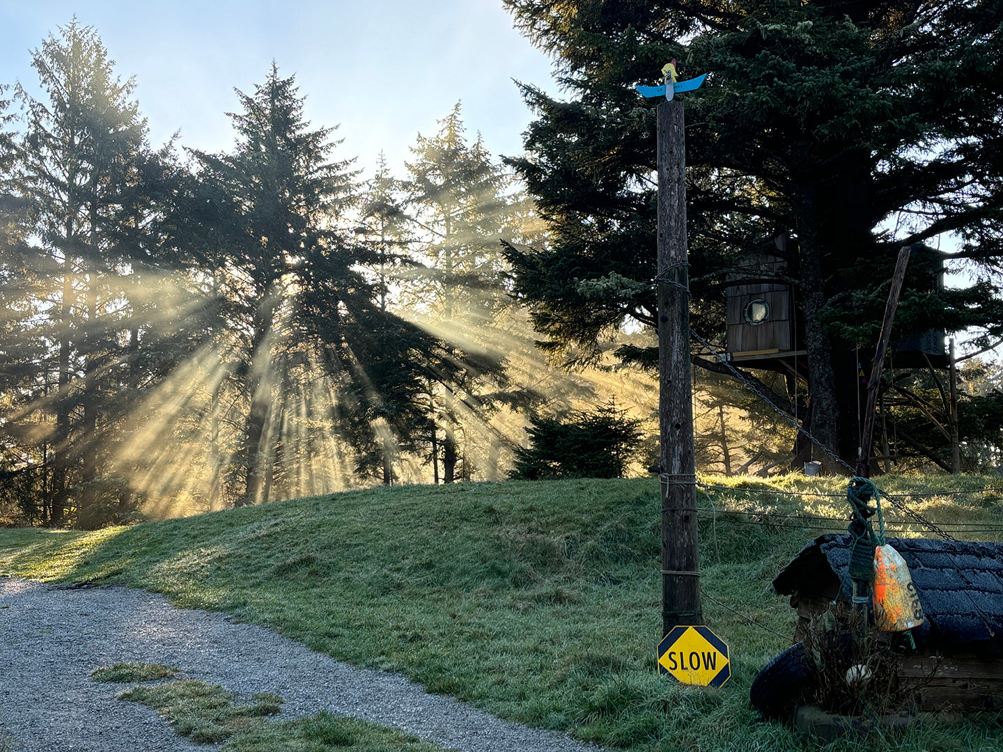 Spring Cove Light, 2024